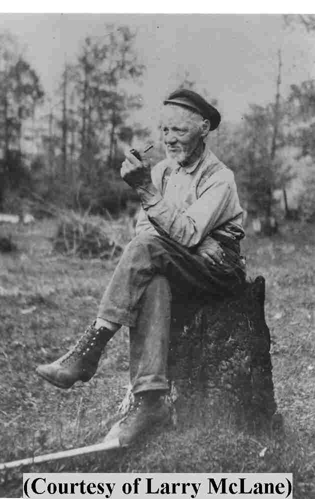 William Newman.jpg (165821 bytes)